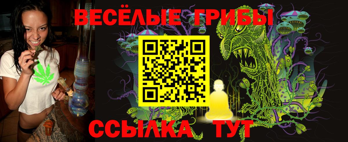 цены наркотик  Псилоцибиновые грибы мицелий  Вход с VPN  Сибай 